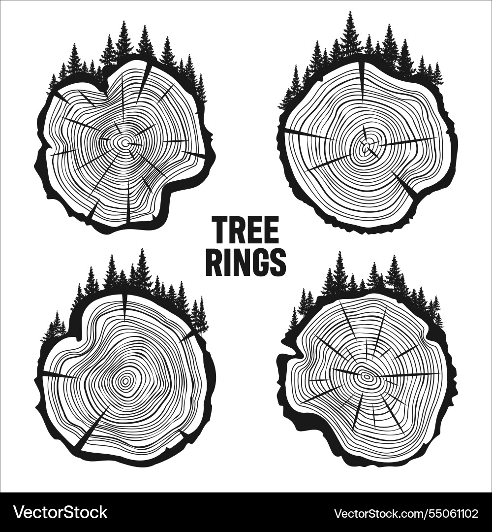 Round tree trunk cuts with trees and forest sawn Round tree trunk cuts with trees and forest sawn vector image