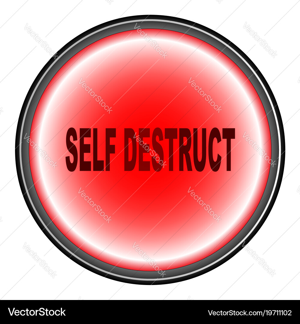 Self destruct button vector image