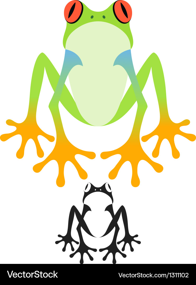 Tree frog vector image