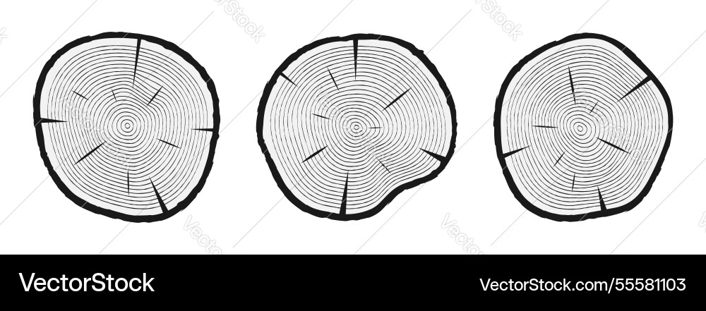 Tree trunk cuts with rings Tree trunk cuts with rings vector image