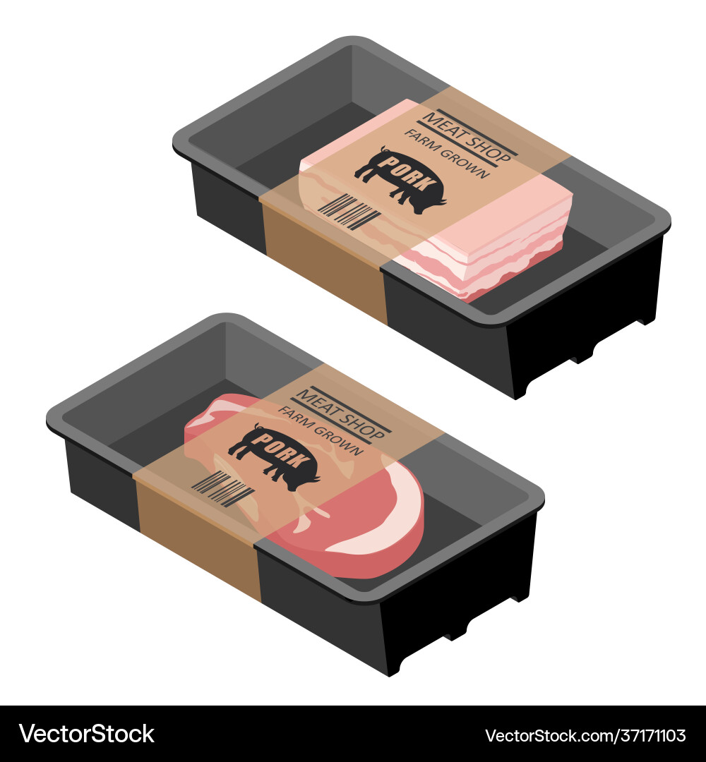 Web Web vector image