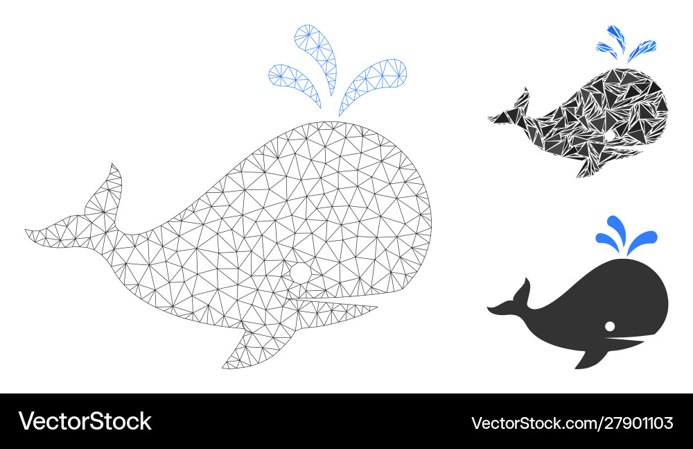 Whale mesh wire frame model and triangle Whale mesh wire frame model and triangle Vector Image