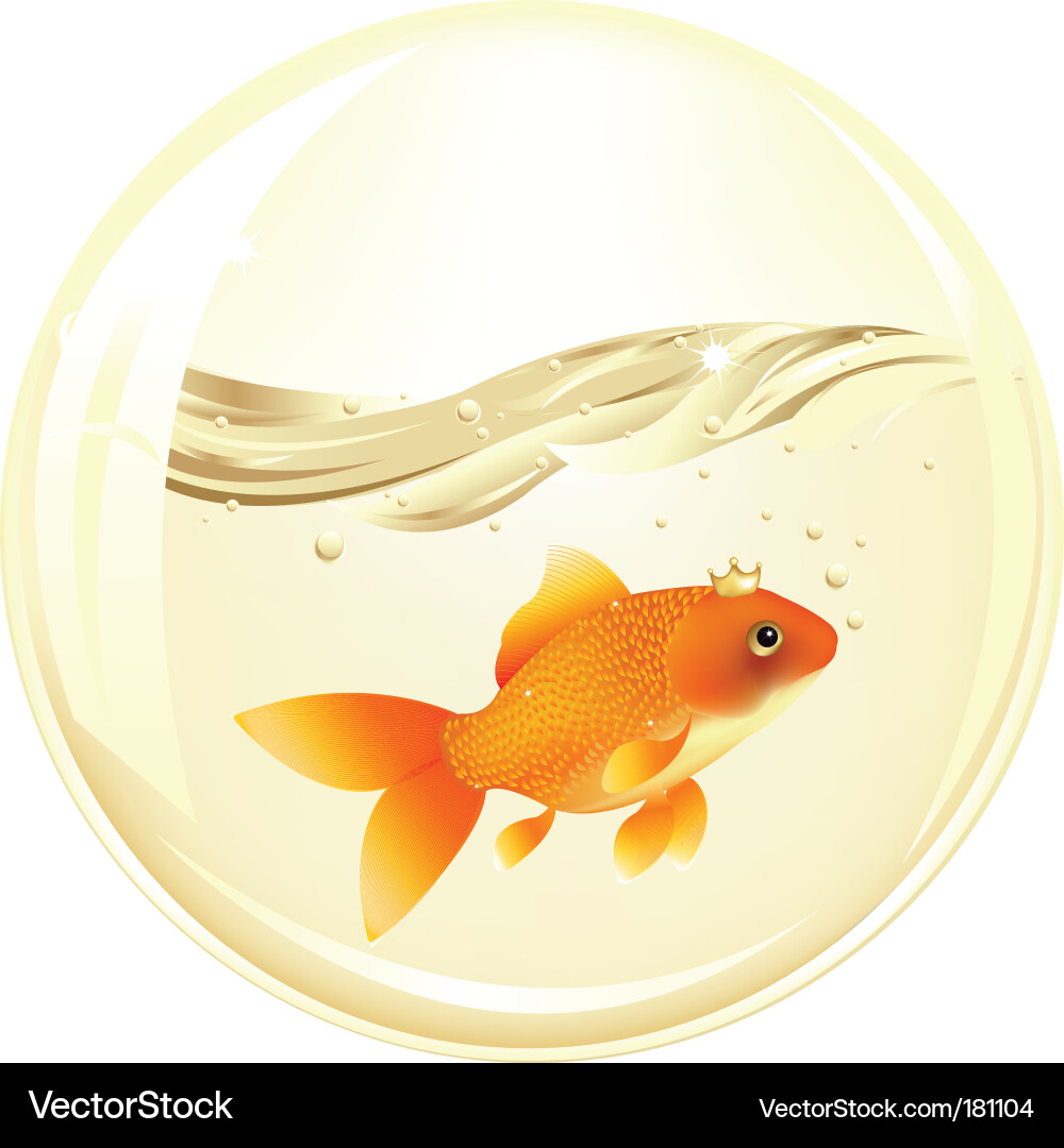 Ball with goldfish Vector Image
