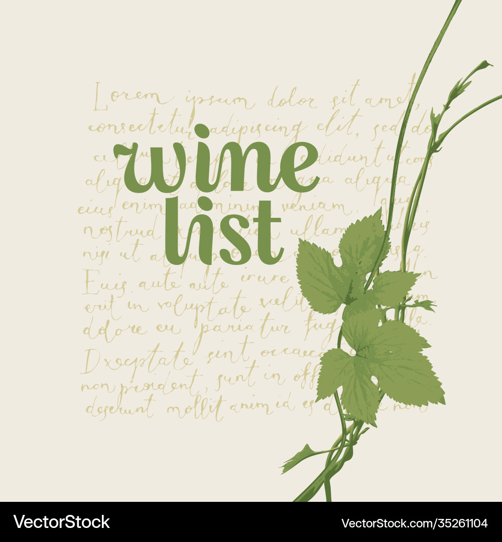 Elegant Wine List with Grapevine vector image