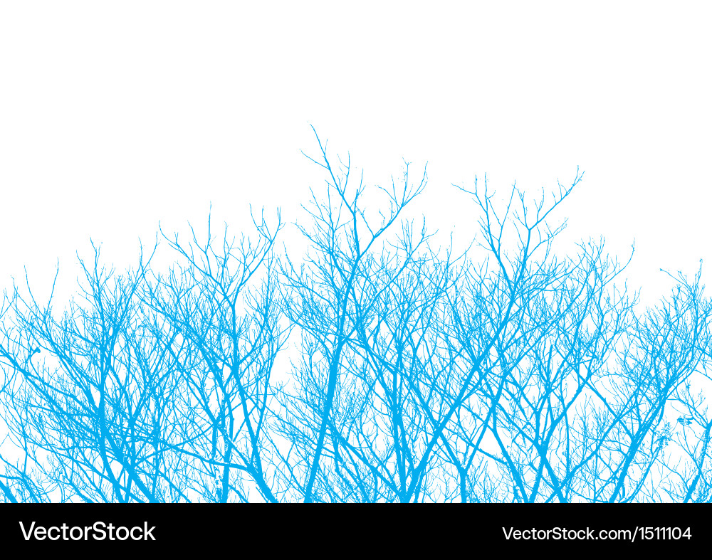 Tree Branch Twigs Background vector image