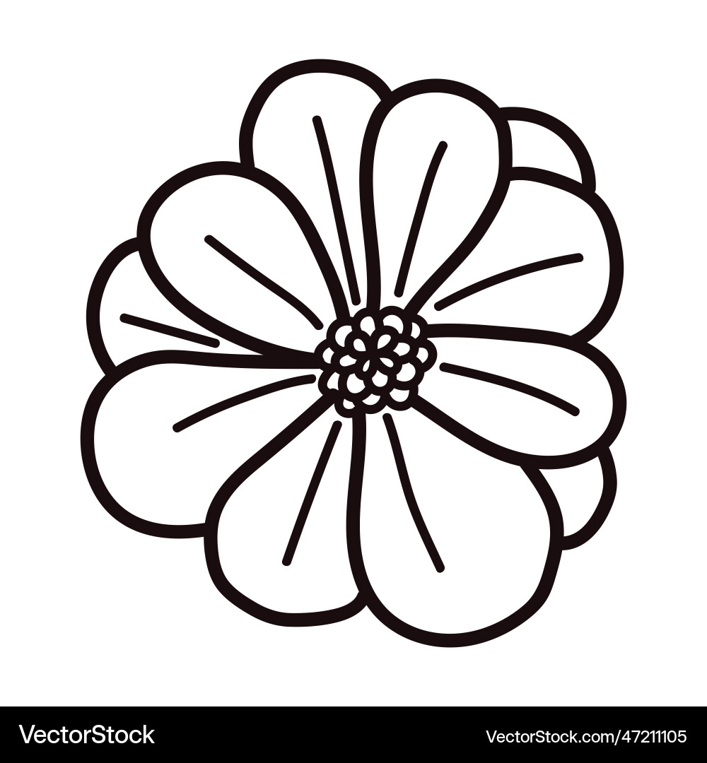 Hand drawn flowers with twigs in doodle style Hand drawn flowers with twigs in doodle style vector image