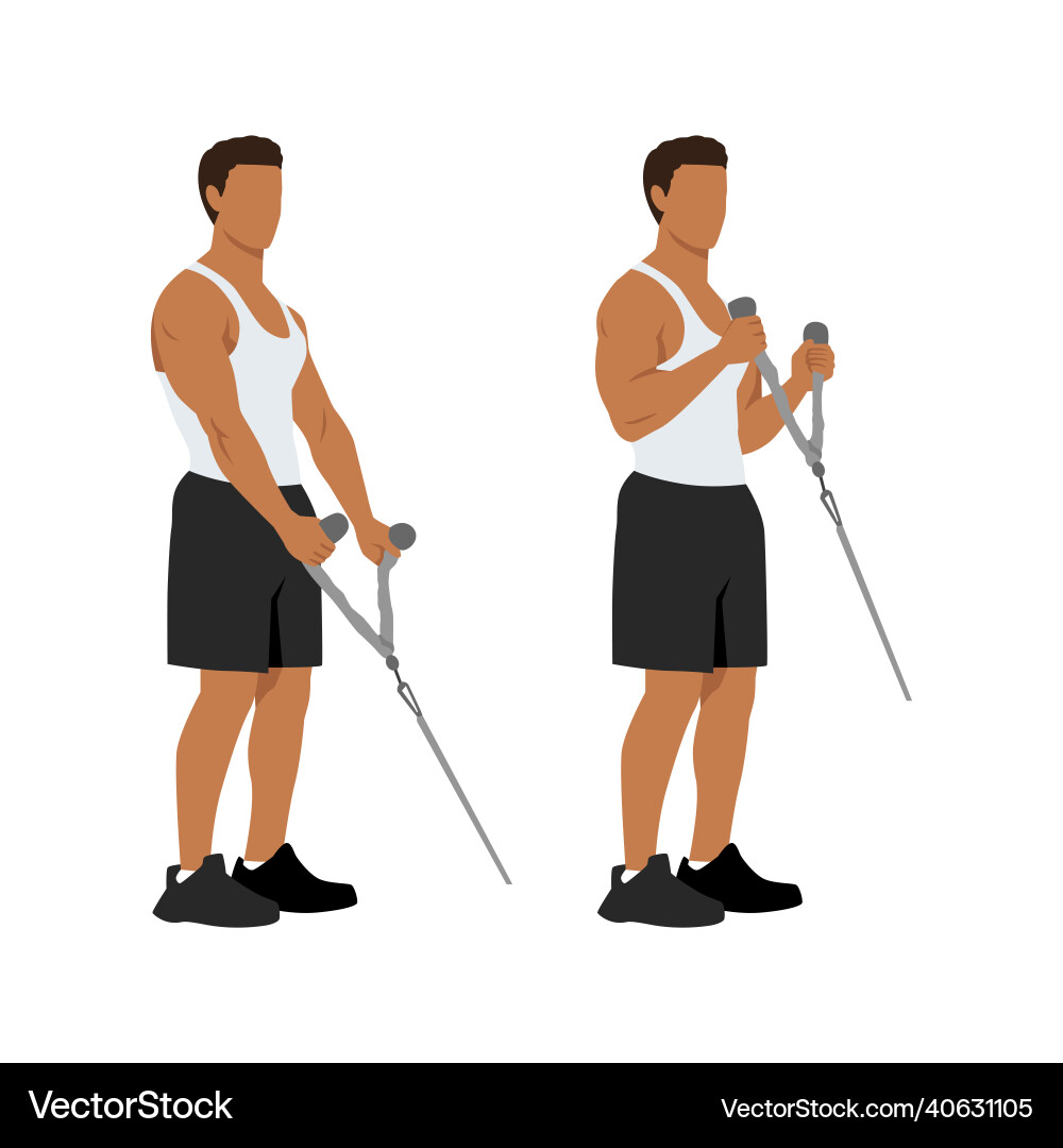 Man doing cable hammer bicep curls exercise Man doing cable hammer bicep curls exercise vector image