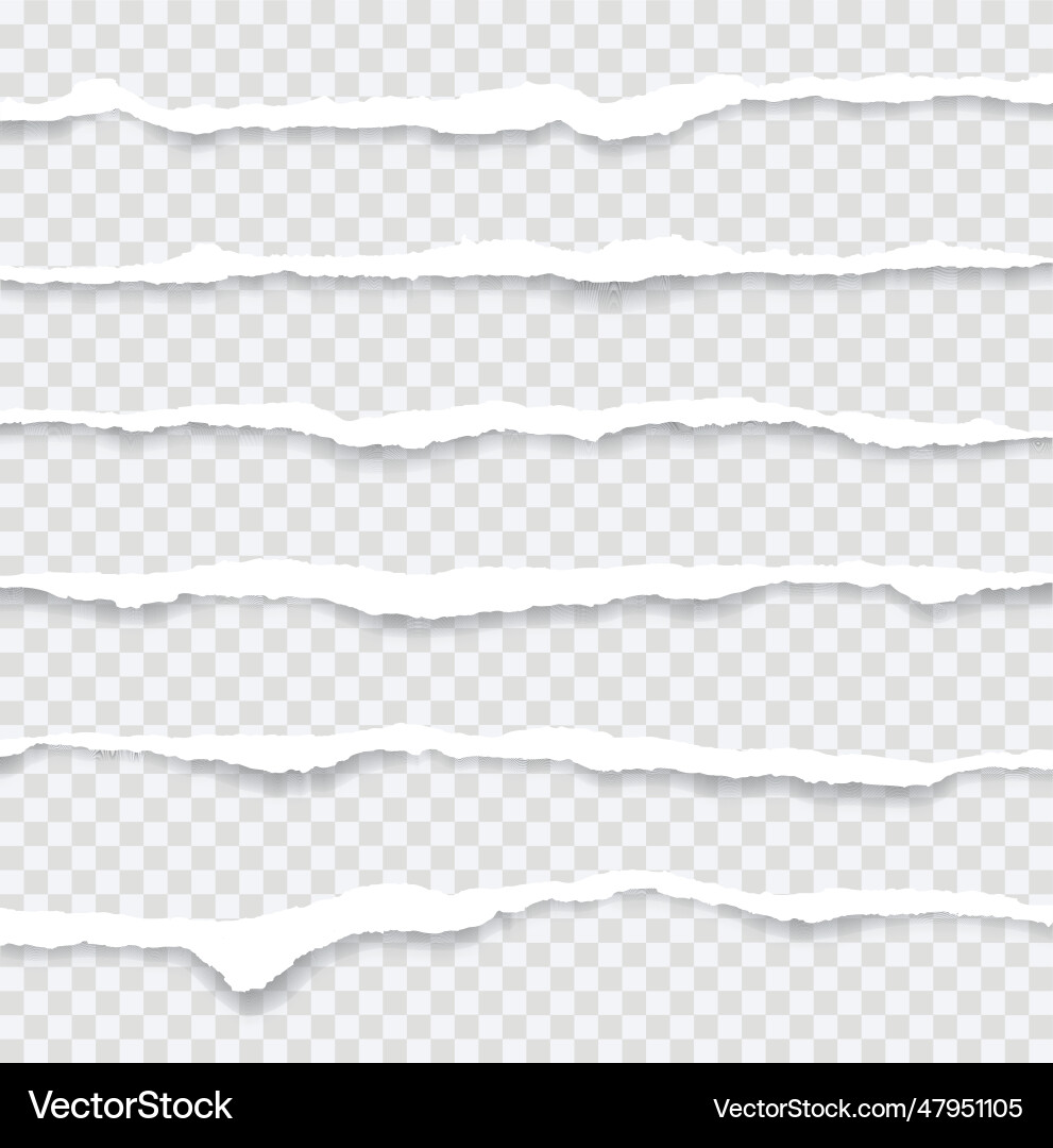 Realistic set torn paper edges with shadow vector image
