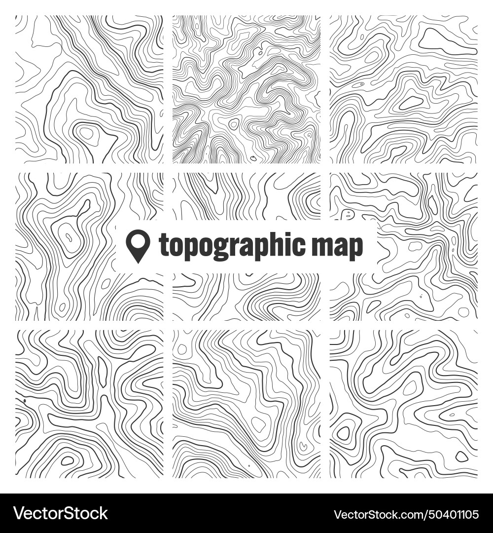 Topographic map with contour lines geographic vector image