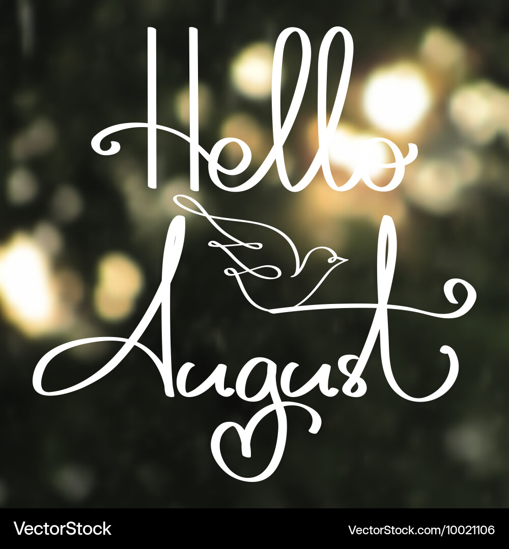 Handmade calligraphy and text hello august Vector Image