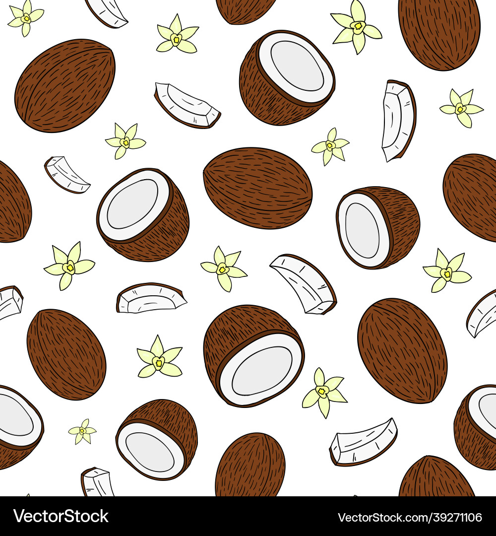 Seamless pattern with hand drawn coconuts vector image