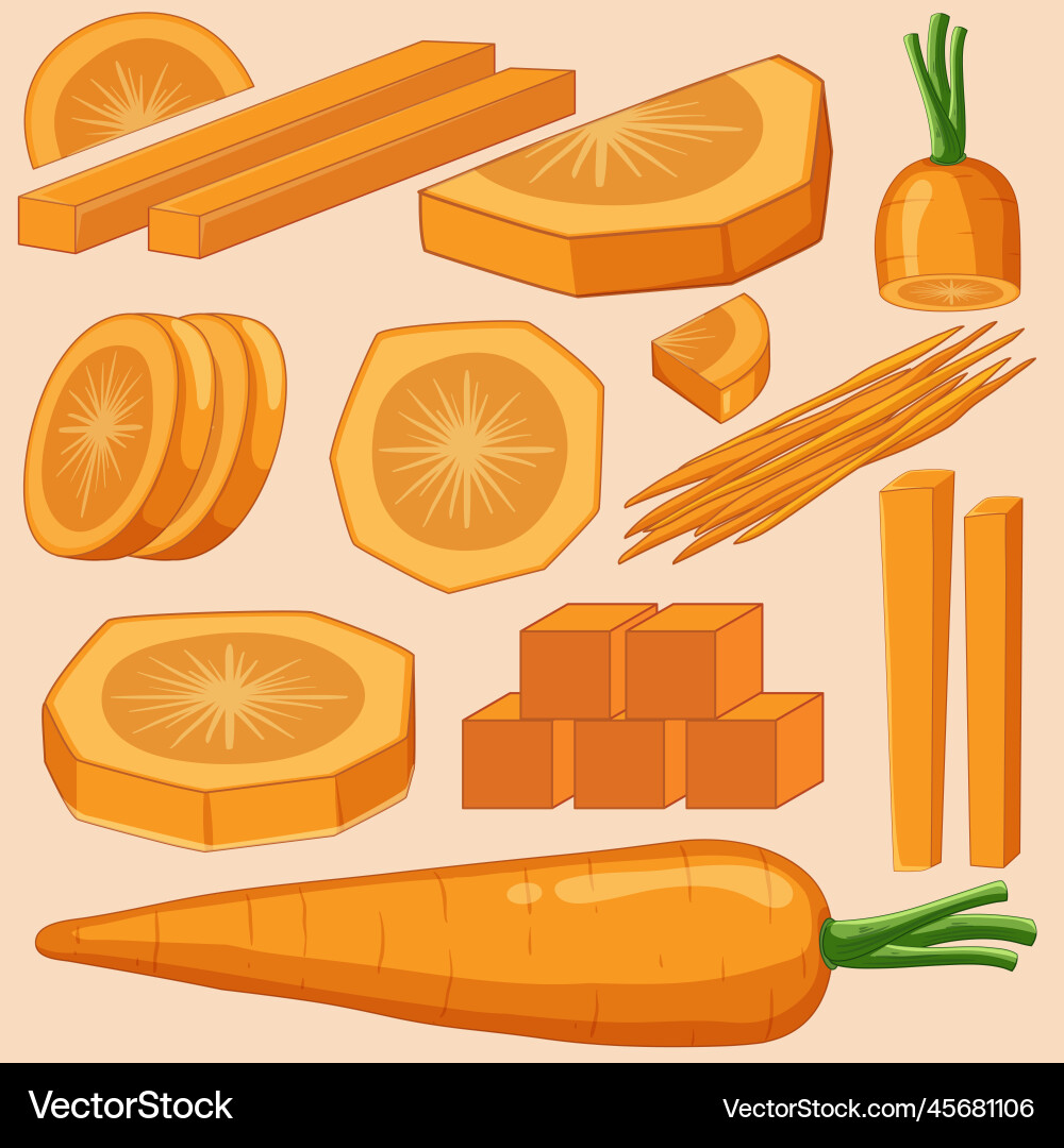 Set of carrot with background Vector Image