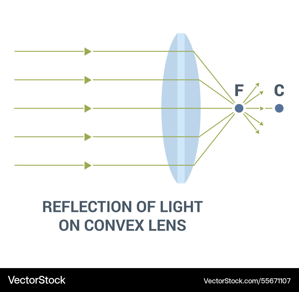 An indepth explanation of the reflection light An indepth explanation of the reflection light vector image