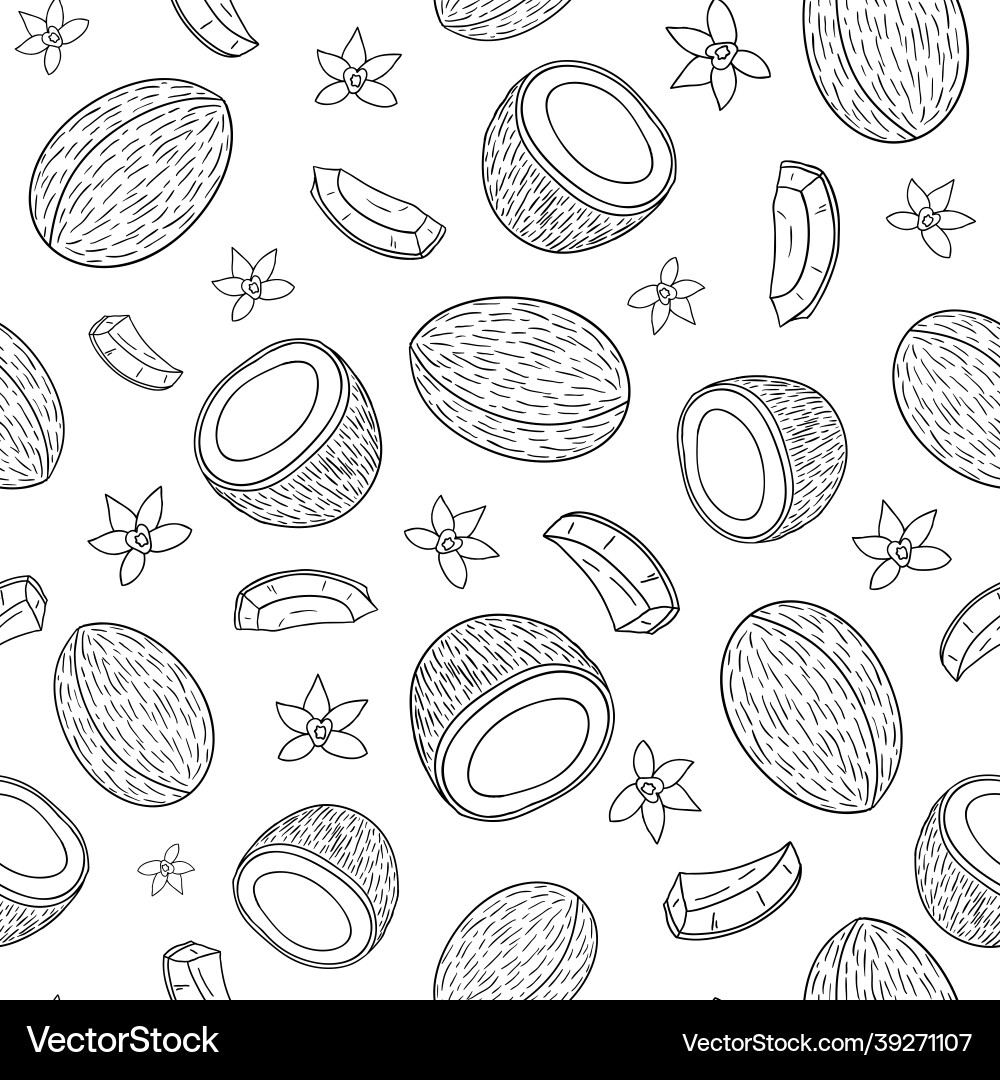 Seamless pattern with hand drawn coconuts Seamless pattern with hand drawn coconuts vector image