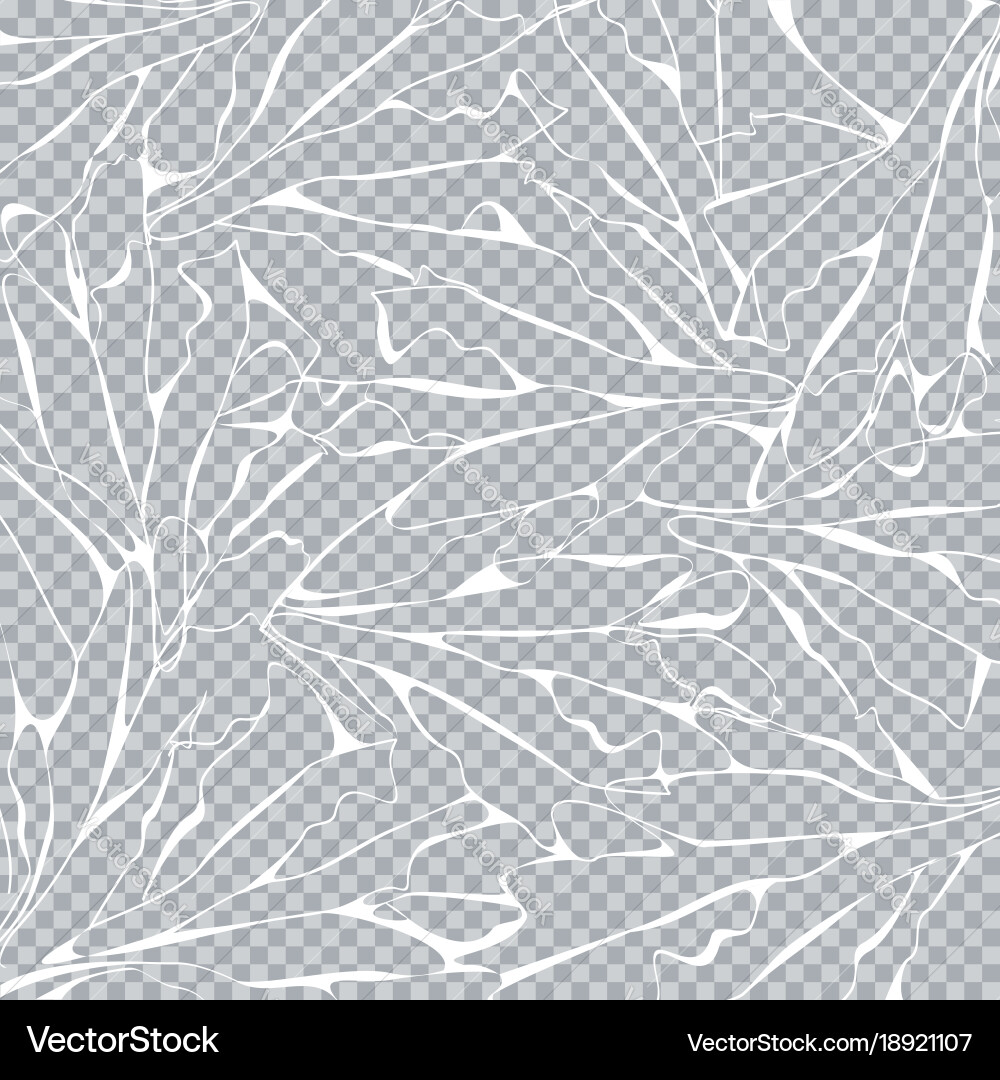 White web pattern on transparent Vector Image