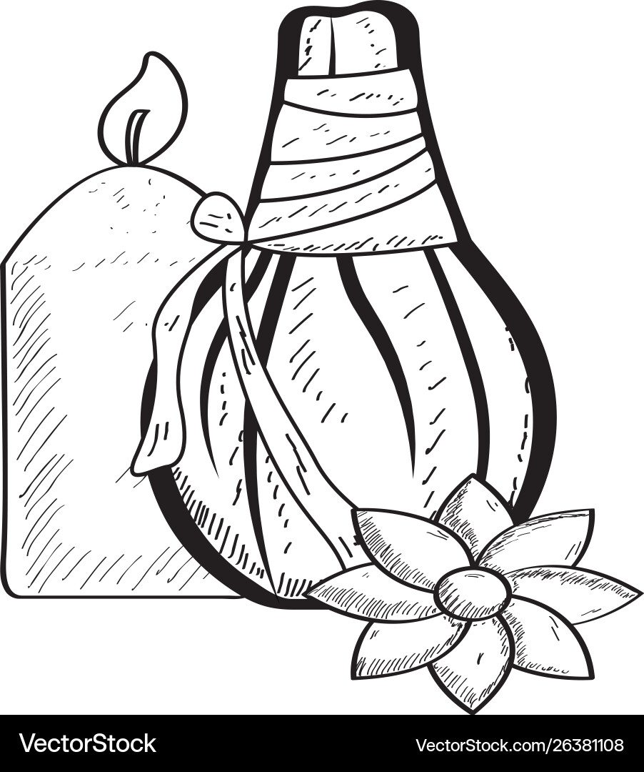 Sketch spa objects Vector Image