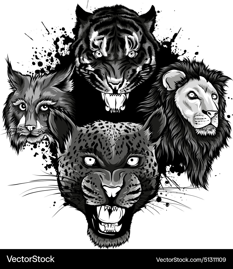 Monochrome set of head feline Vector Image