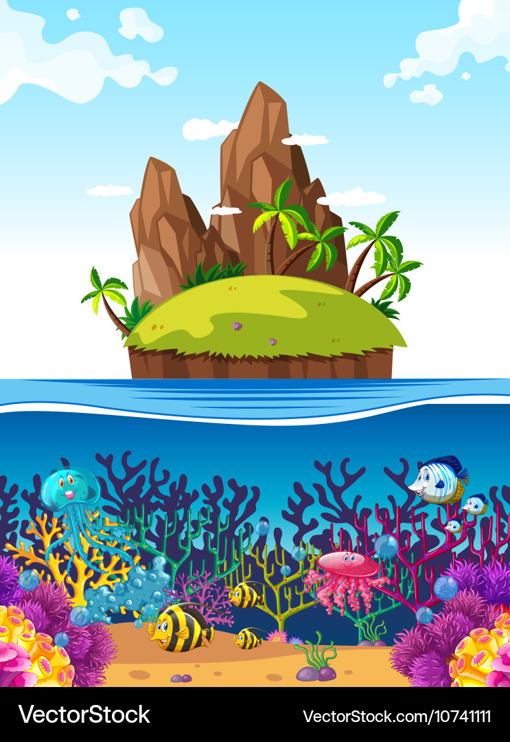 Scene with island and fish under the sea Vector Image