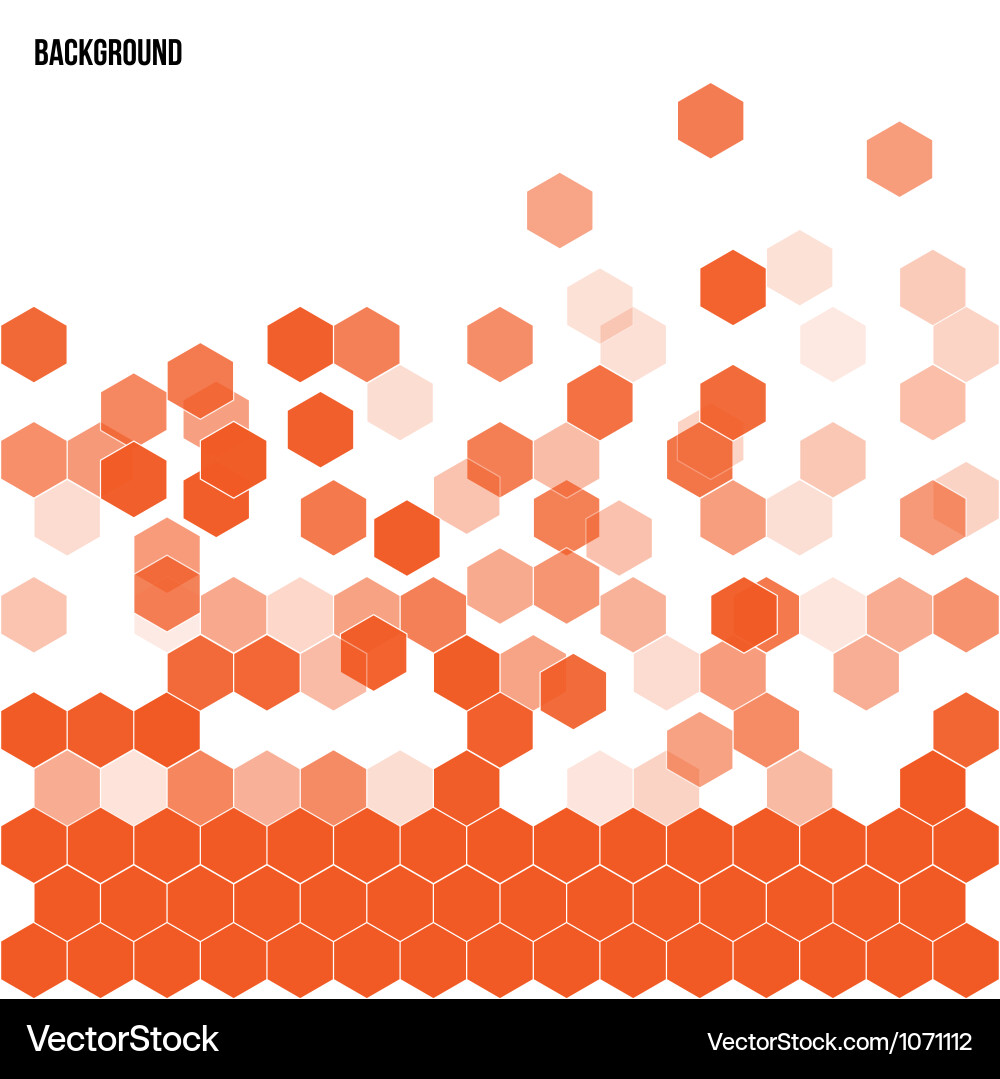 Colorful Harlequin Pattern Vector Image