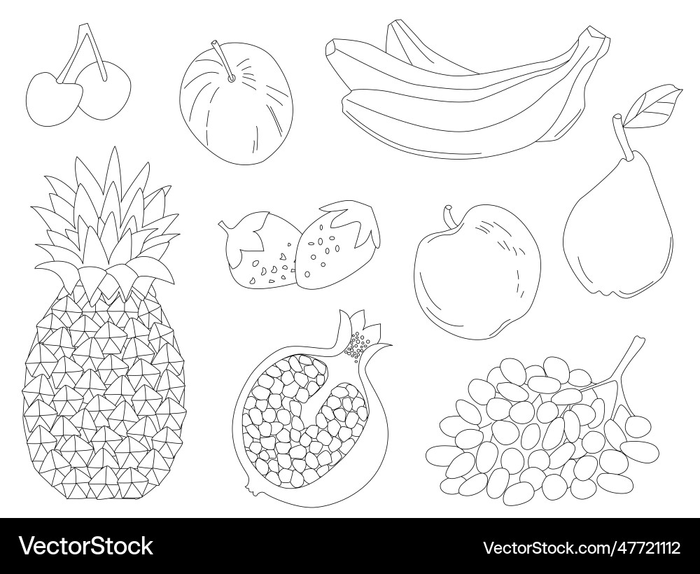 Healthy collection of hand drawn outlined fruits Healthy collection of hand drawn outlined fruits vector image
