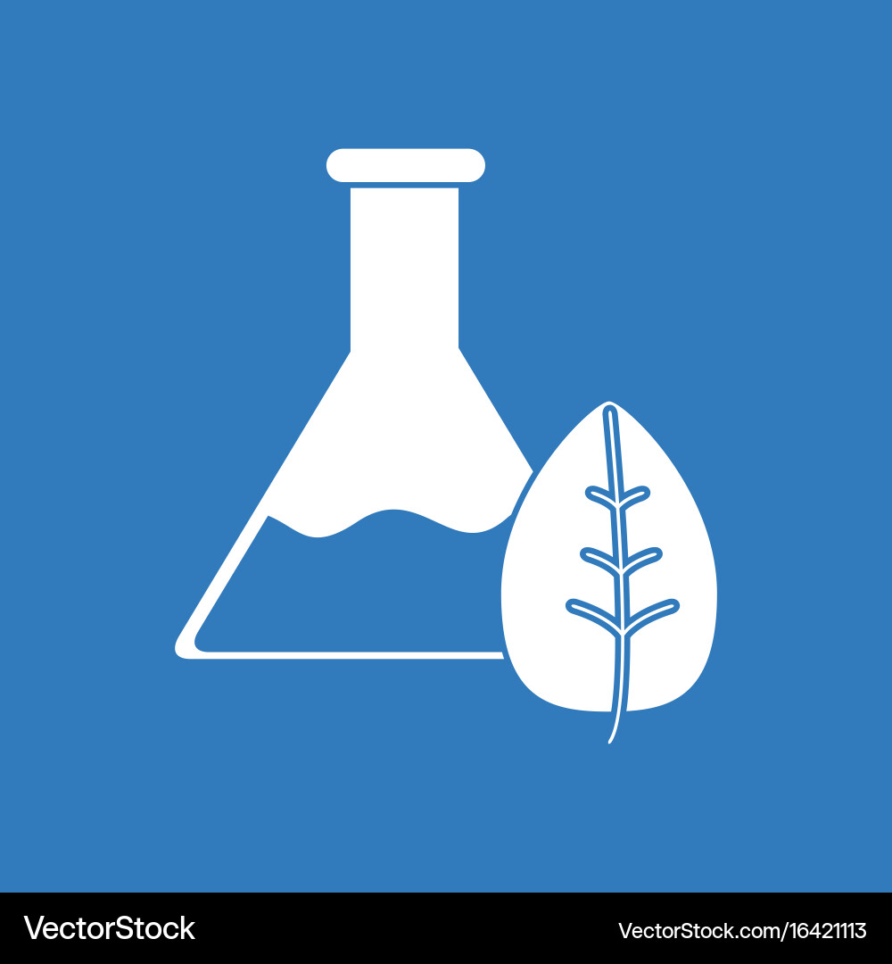 Icon lab flask with leaf vector image