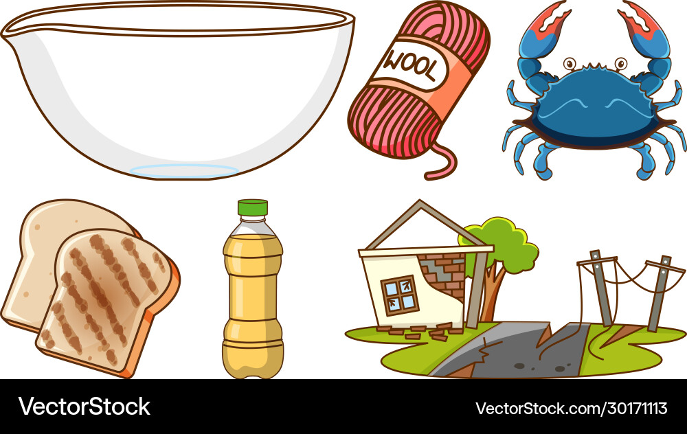 Large set different animals and other objects Large set different animals and other objects vector image