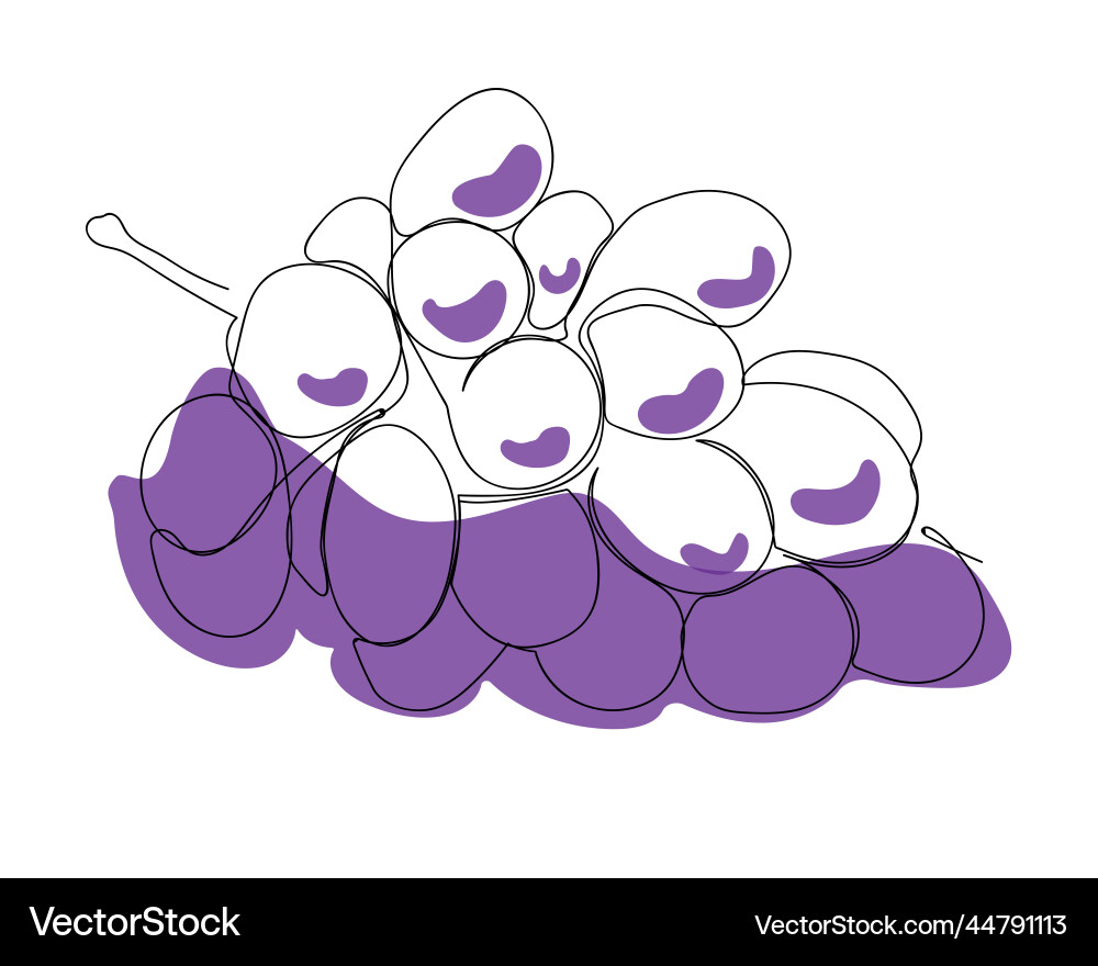 Single line grape simple minimalistic Single line grape simple minimalistic Vector Image