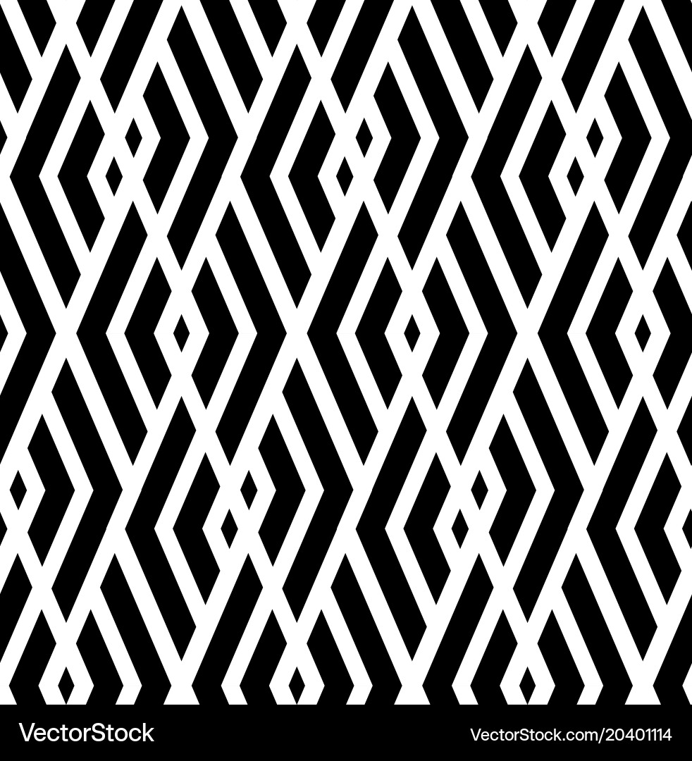Geometric Black and White Pattern vector image