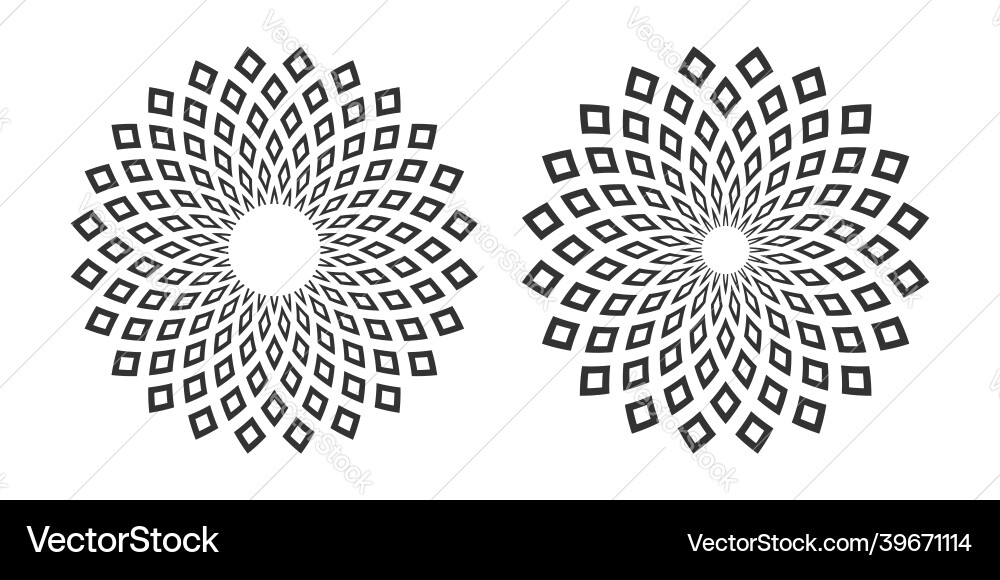 Geometric Circle Patterns vector image