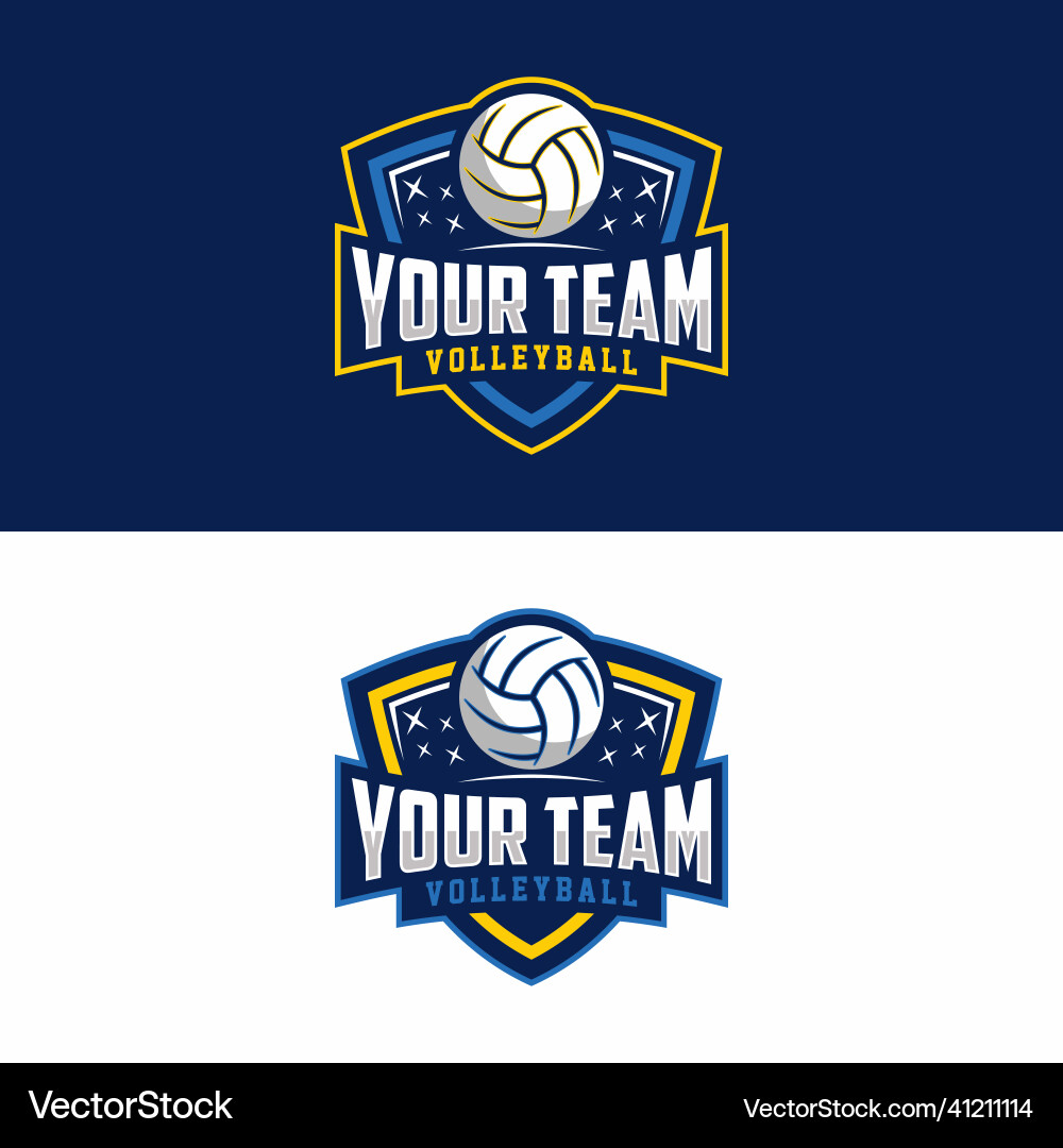 Volleyball Badge Icon - Sports Template vector image