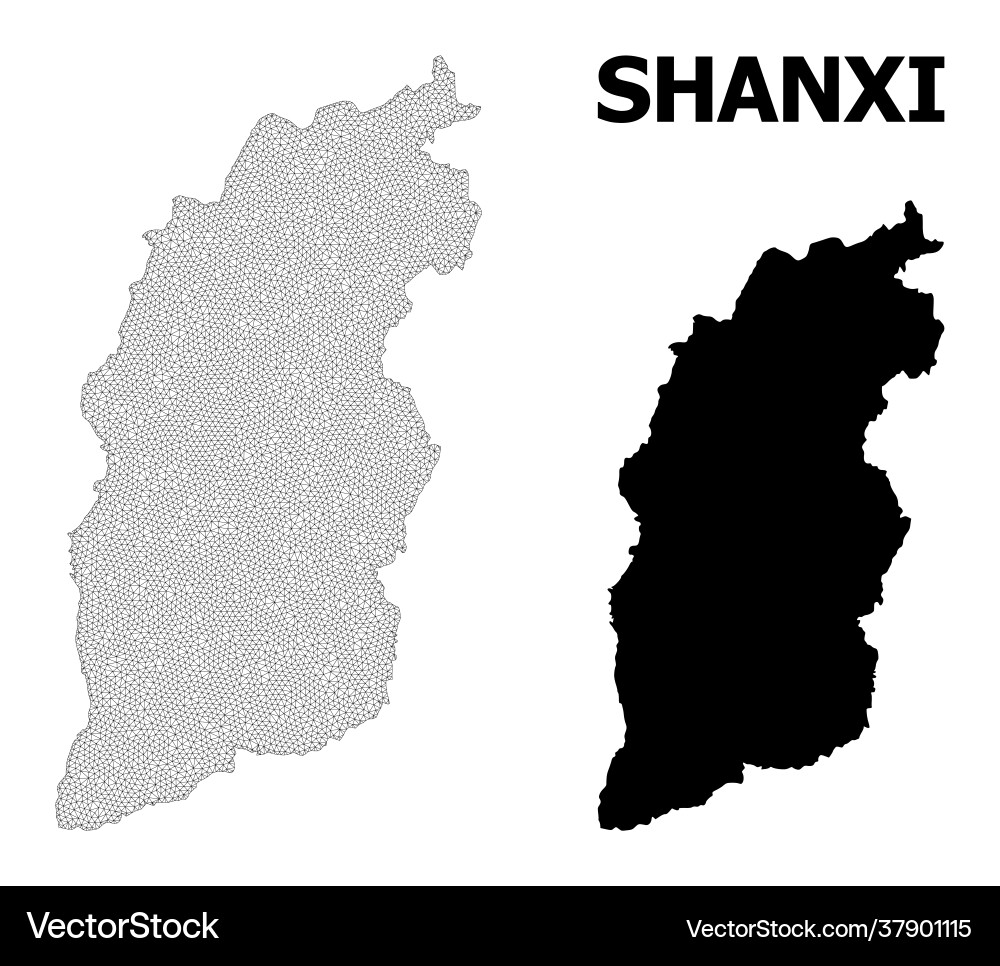 Polygonal network mesh high resolution map Polygonal network mesh high resolution map vector image