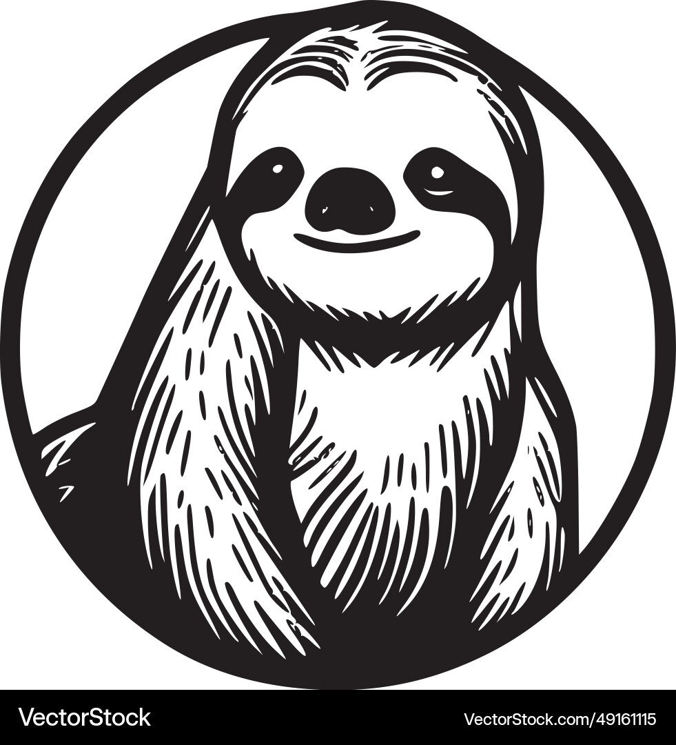 Sloth - black and white Vector Image