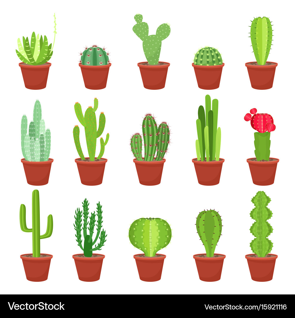 Cactus icons in a flat style on white background Vector Image