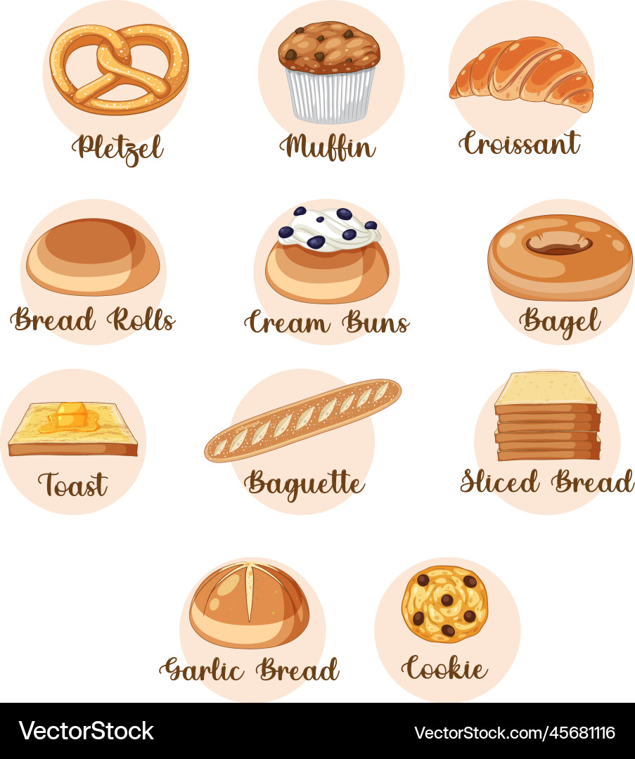 Different types of bread with name vector image