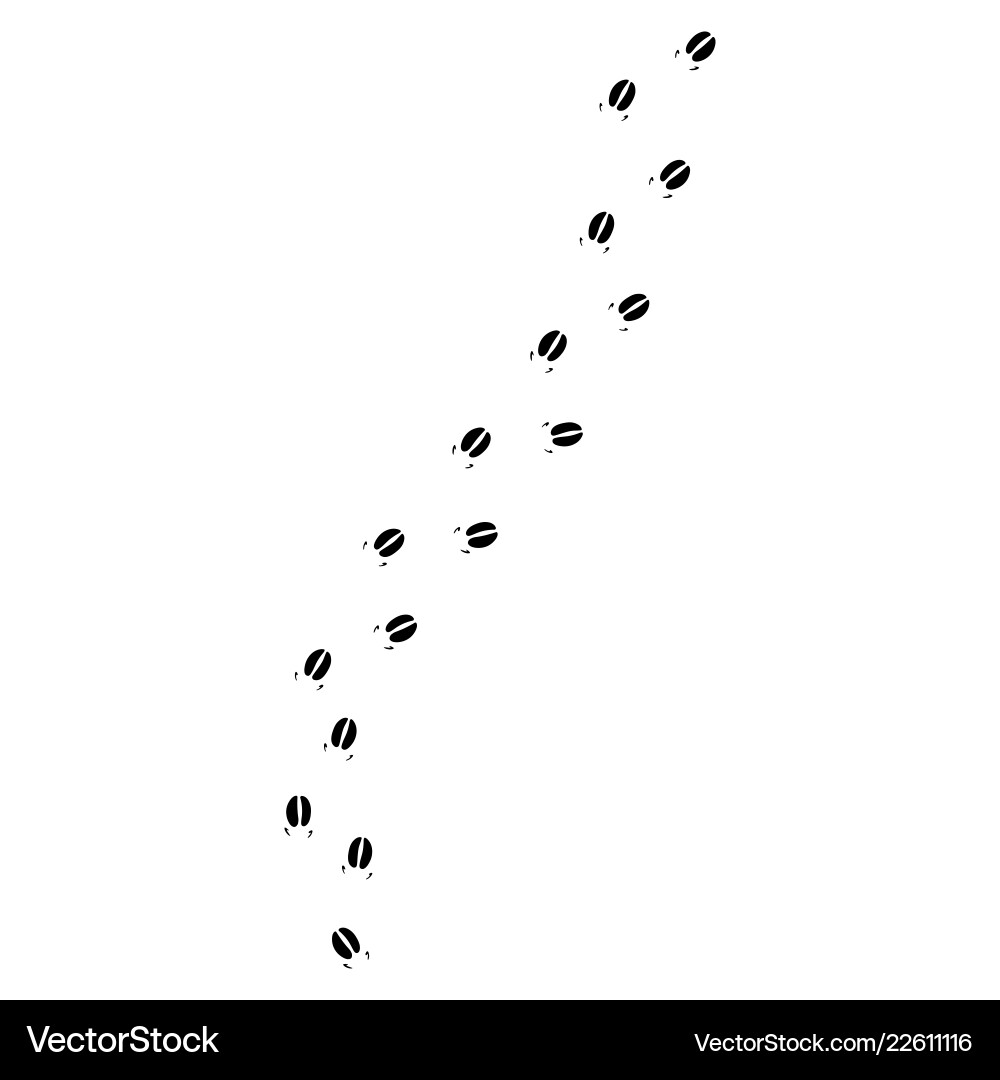 Footprints of a pig Footprints of a pig vector image