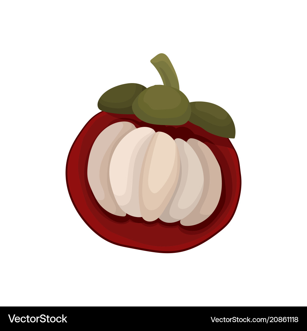 Flat icon of half mangosteen ripe fruit Flat icon of half mangosteen ripe fruit vector image