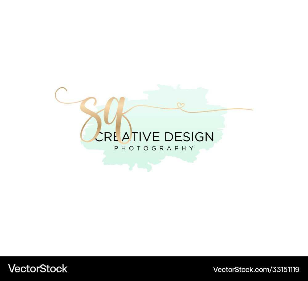 Elegant Initial Script Logo - Brush Style vector image