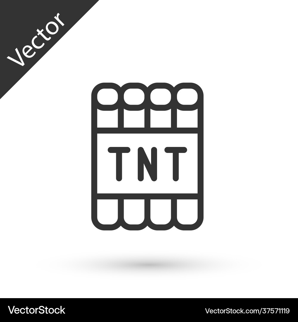 Grey line detonate dynamite bomb stick and timer Grey line detonate dynamite bomb stick and timer vector image