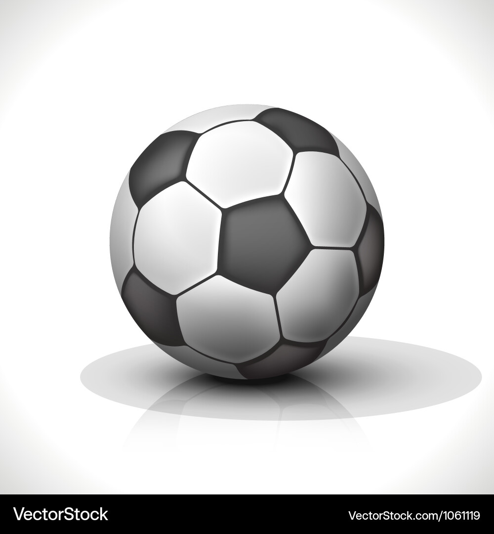 Realistic Soccer Ball vector image