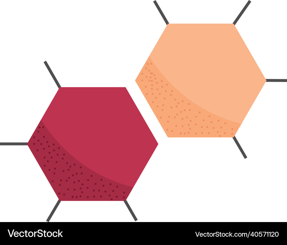Atom molecule structure vector image