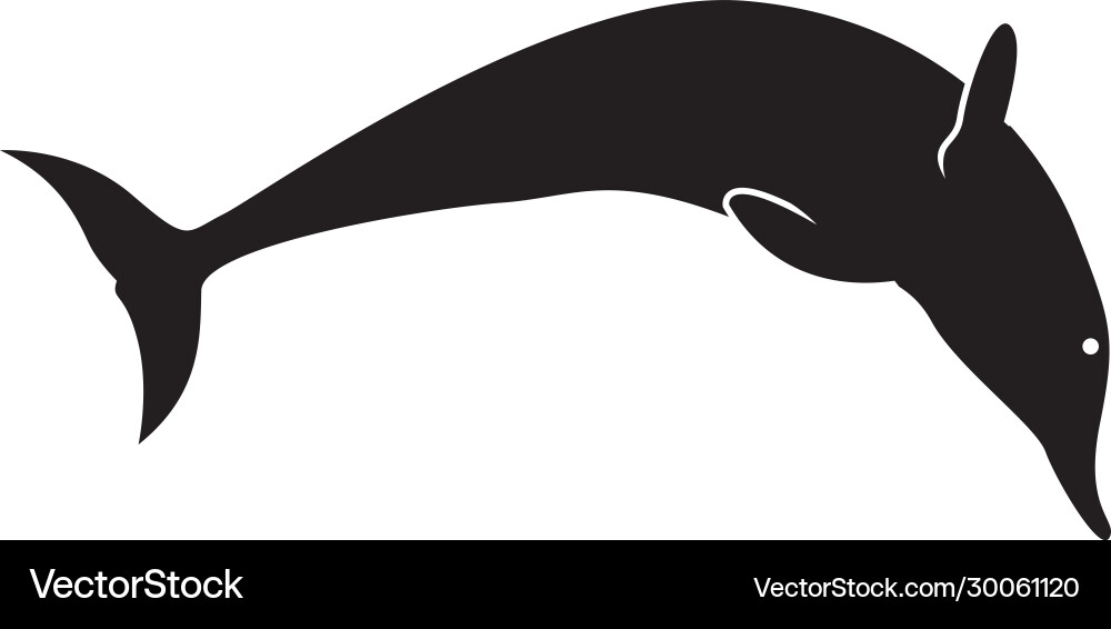 Delfin Grafik Design Vorlage isoliert Delfin Grafik Design Vorlage isoliert vektorbild