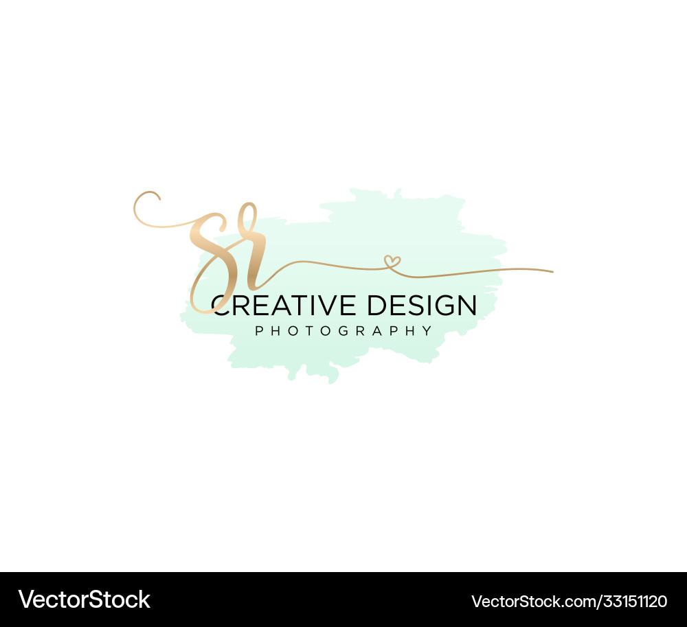 Elegant Initial 'SR' Brush Script Logo vector image