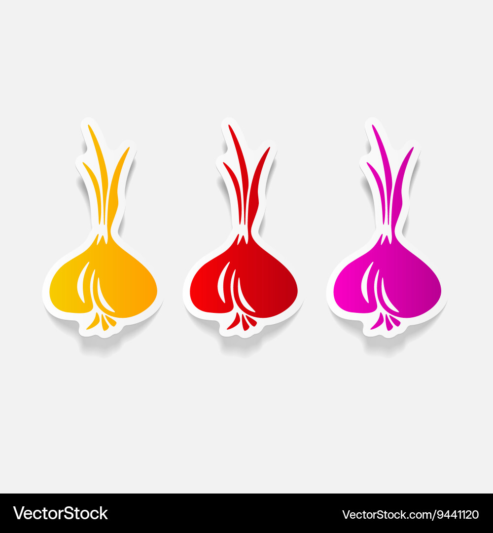 Realistic design element onion Vector Image