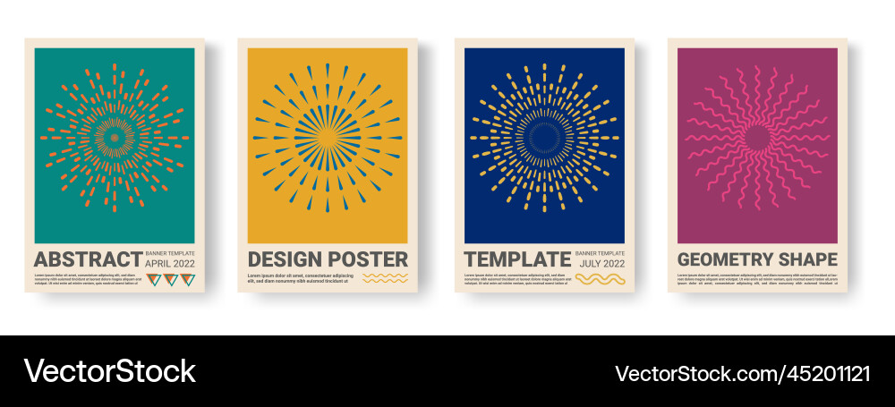 Fireworks Circle Patterns Vector Image