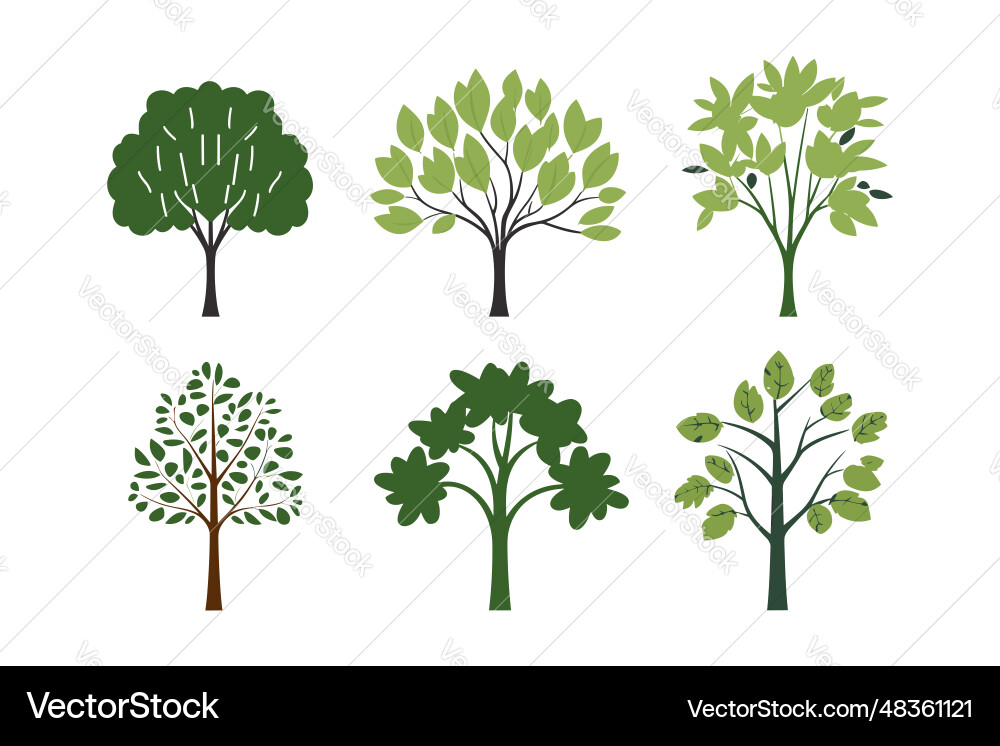 Set of tree in simple style isolated on white Set of tree in simple style isolated on white vector image