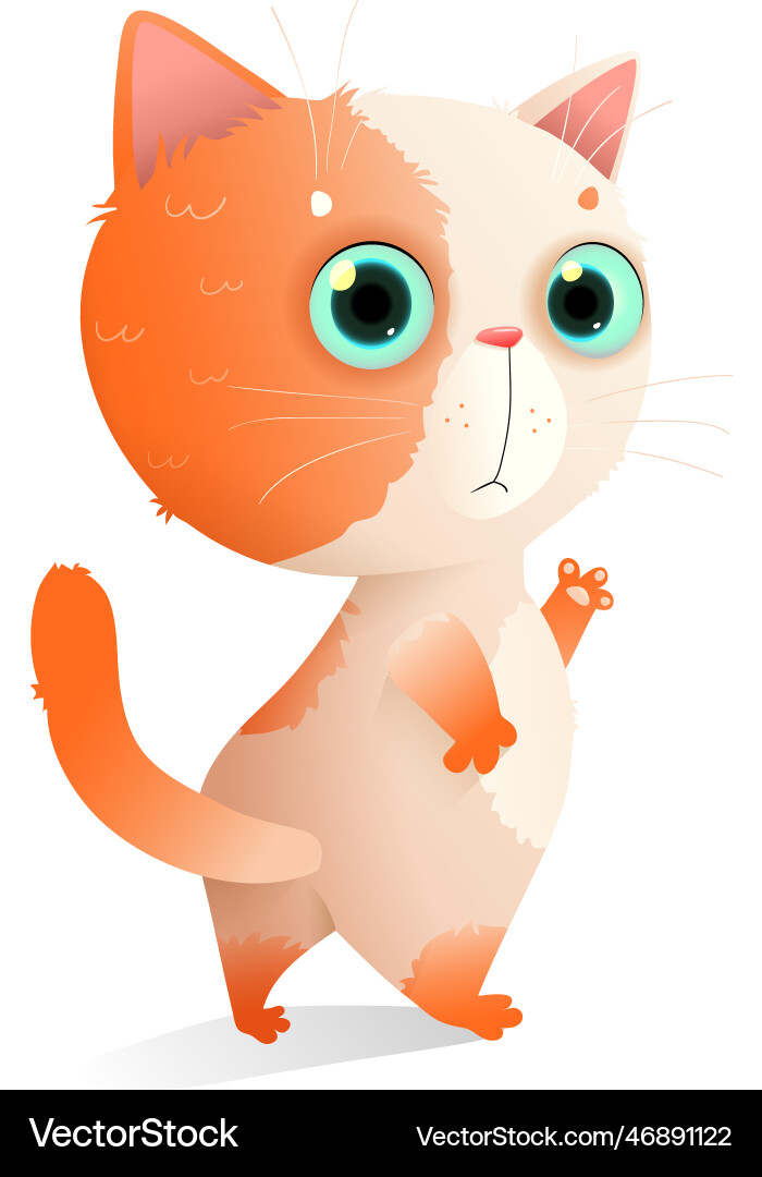 Cute animal baby kitten for kids isolated clipart Cute animal baby kitten for kids isolated clipart vector image