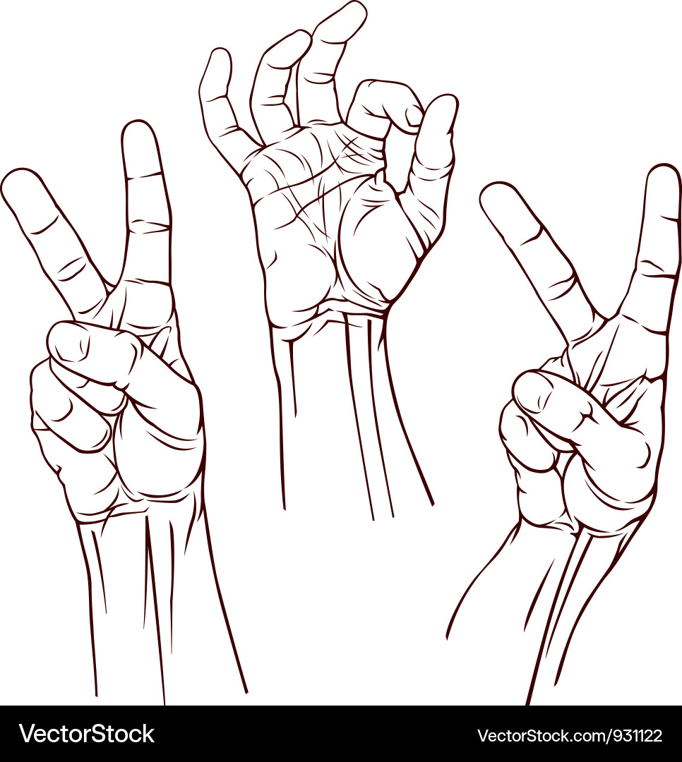 Set of three hands Vector Image