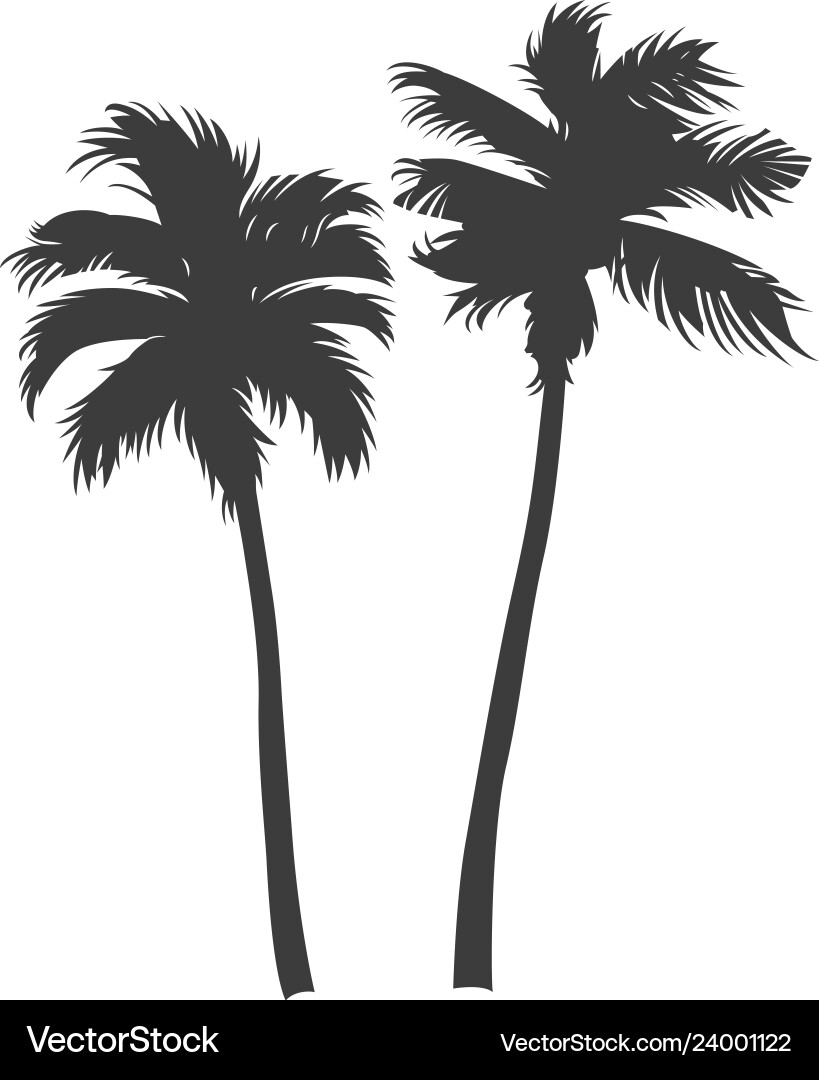 Vintage beautiful palm trees Royalty Free Vector Image