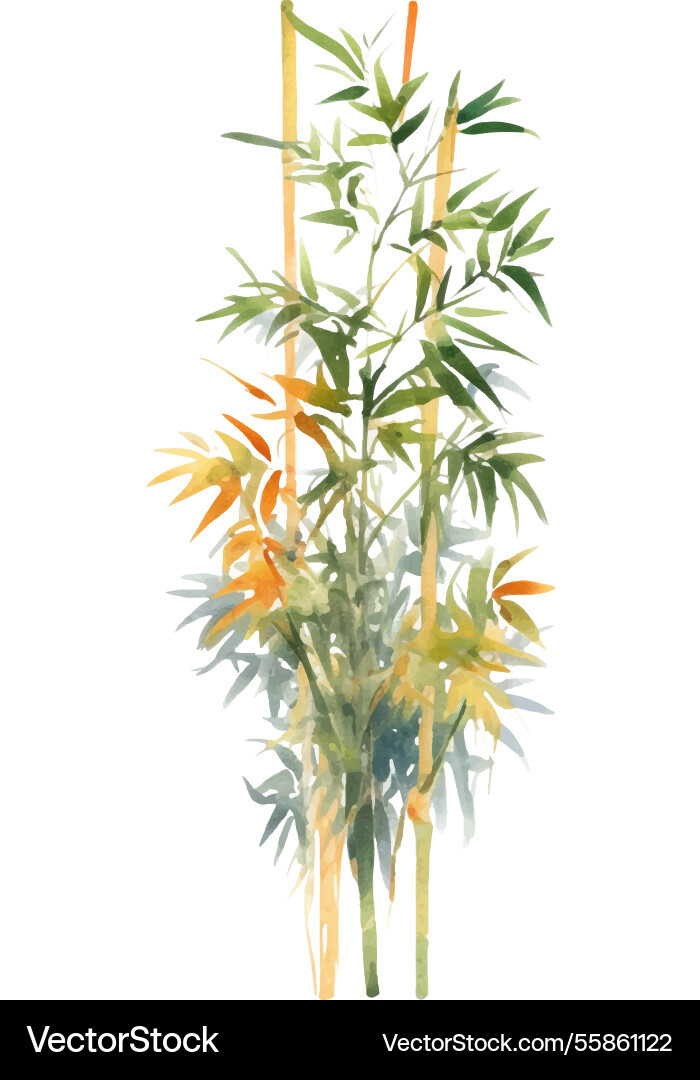 Watercolor painted bamboo hand drawn flower Watercolor painted bamboo hand drawn flower vector image