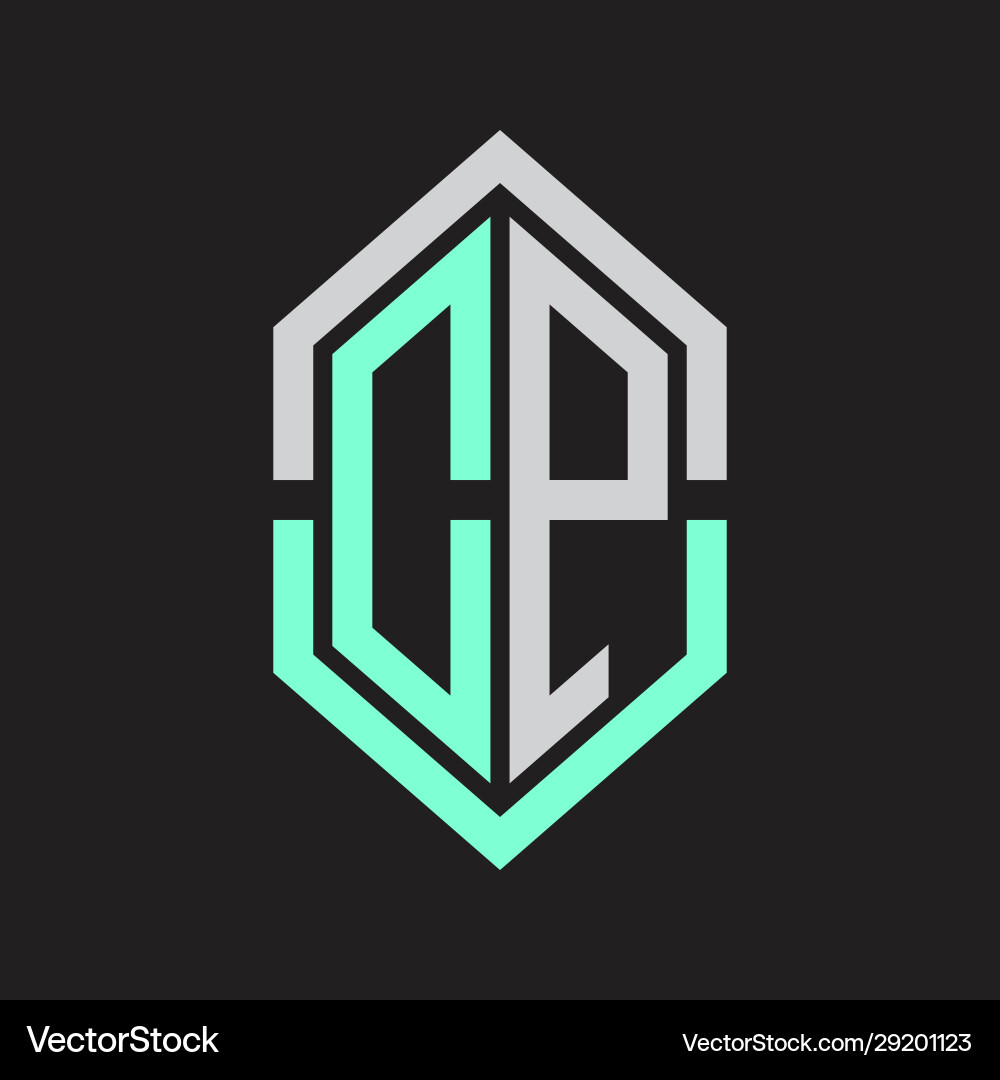 Dp logo monogram with hexagon shape and outline vector image